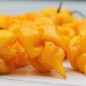 Preview: - Kopie - Kopie - Kopie - Kopie - Kopie - Kopie