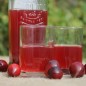 Preview: Cranberry Olson Honkers (Pflanze)