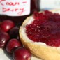 Preview: Cranberry Crowley (Pflanze)