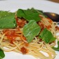 Preview: Endivie Scarola Bianca di Napoli (Samen)