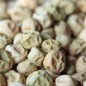 Preview: Zuckererbse Ambrosia (Samen)