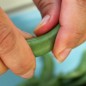Preview: Zuckererbse Sugar Snap