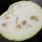 Preview: Feigenblattkürbis (Samen)