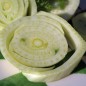 Preview: Knollenfenchel Mammoth (Samen)