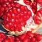 Preview: - Kopie - Kopie - Kopie