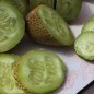 Preview: Gurke Little Potato (Samen)