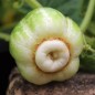 Preview: - Kopie - Kopie - Kopie - Kopie - Kopie