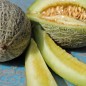 Preview: Honigmelone Green Nutmeg (Samen)