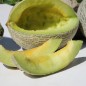 Preview: Honigmelone Green Nutmeg (Samen)