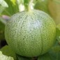 Preview: - Kopie - Kopie - Kopie - Kopie