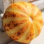 Preview: Honigmelone Queen Anne's Pocket (Samen)