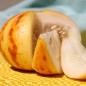 Preview: Honigmelone Queen Anne's Pocket (Samen)