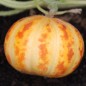 Preview: Honigmelone Queen Anne's Pocket (Samen)