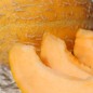 Preview: - Kopie - Kopie - Kopie - Kopie - Kopie