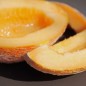 Preview: - Kopie - Kopie - Kopie - Kopie - Kopie