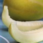 Preview: - Kopie - Kopie - Kopie