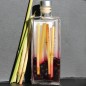 Preview: Zuckerhirse Roxy Orange (Samen)