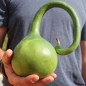Preview: Kalebasse Duck Marenka (Samen)