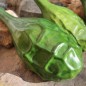 Preview: Kalebasse Marenka Dinosaur (Samen)