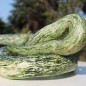 Preview: Kalebasse Snake Speckled (Samen)