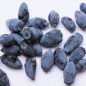 Preview: Kamtschatkabeere - Sibirische Blaubeere Atut (Pflanze)