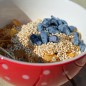 Preview: Kamtschatkabeere - Sibirische Blaubeere Amfora (Pflanze)