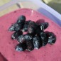 Preview: Kamtschatkabeere - Sibirische Blaubeere Czelabinka (Pflanze)