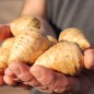 Preview: - Kopie - Kopie - Kopie - Kopie