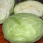 Preview: Weißkohl Flat Dutch (Samen)