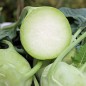 Preview: Kohlrabi Früher Grüner (Samen)