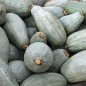 Preview: Kürbis Guatemala Blue Banana (Samen)