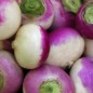 Preview: Mairübchen Di Milano (Samen)