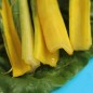 Preview: Mangold Bright Yellow (Samen)