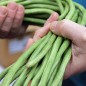 Preview: - Kopie - Kopie - Kopie