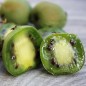Preview: Mini-Kiwi Urodnaya Michurin weiblich (Pflanze)