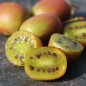 Preview: Mini-Kiwi Ananasnaya weiblich (Pflanze)