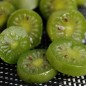 Preview: Mini-Kiwi Marmelada weiblich (Pflanze)