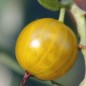 Preview: - Kopie - Kopie