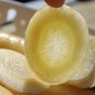 Preview: Möhre White Belgian (Samen)