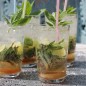 Preview: Hemingwayminze (Pflanze)
