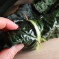 Preview: Palmkohl Nero di Toscana (Samen)