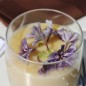 Preview: Phlox Sugar Stars (Samen)