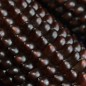 Preview: Popmais Dakota Black (Samen)