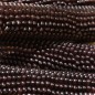 Preview: Popmais Dakota Black (Samen)