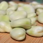 Preview: - Kopie - Kopie - Kopie - Kopie - Kopie