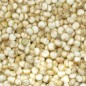 Preview: Quinoa Sweet Temuco (Samen)
