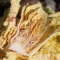 Preview: Radicchio Variegata Di Castelfranco (Samen)
