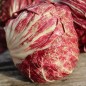 Preview: Radicchio Variegata di Chioggia (Samen)