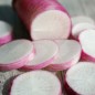 Preview: Rettich Rose de Chine (Samen)