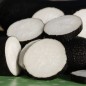 Preview: - Kopie